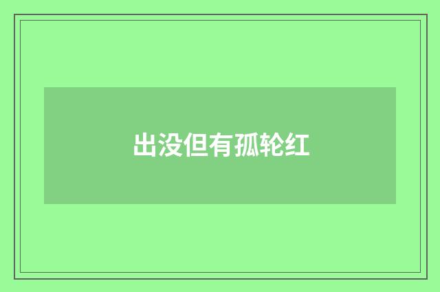 出没但有孤轮红