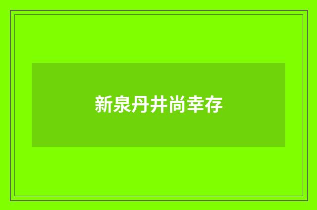 新泉丹井尚幸存