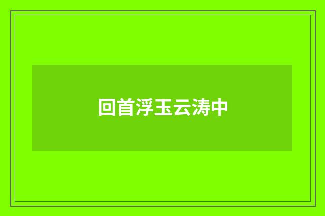 回首浮玉云涛中