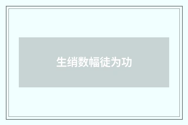 生绡数幅徒为功