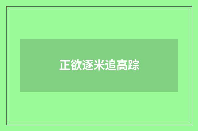 正欲逐米追高踪