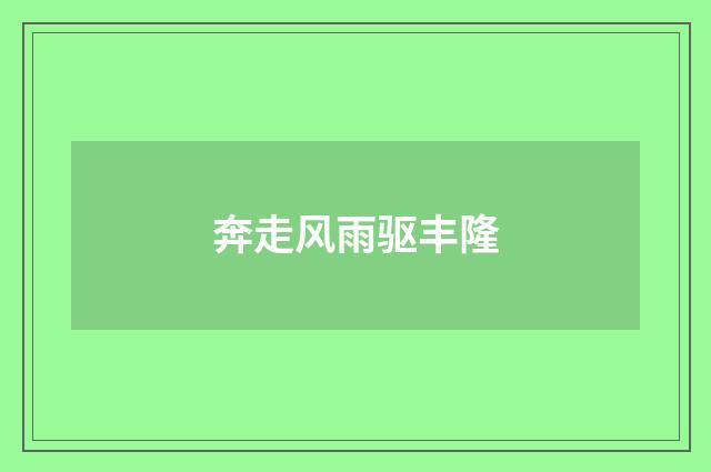 奔走风雨驱丰隆