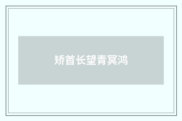 矫首长望青冥鸿
