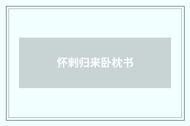 怀刺归来卧枕书