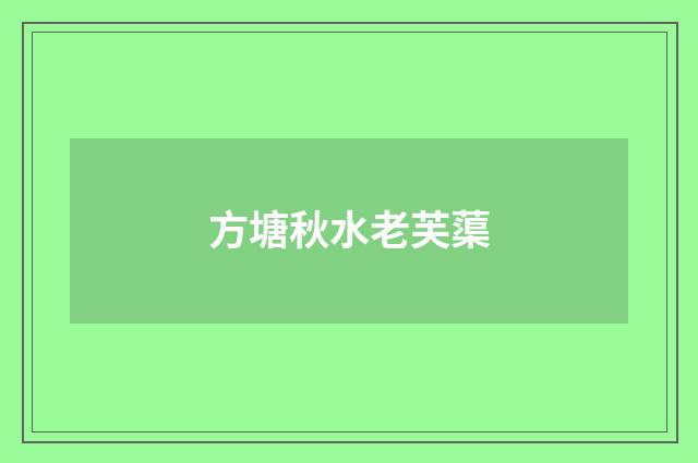 方塘秋水老芙蕖