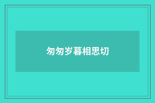 匆匆岁暮相思切