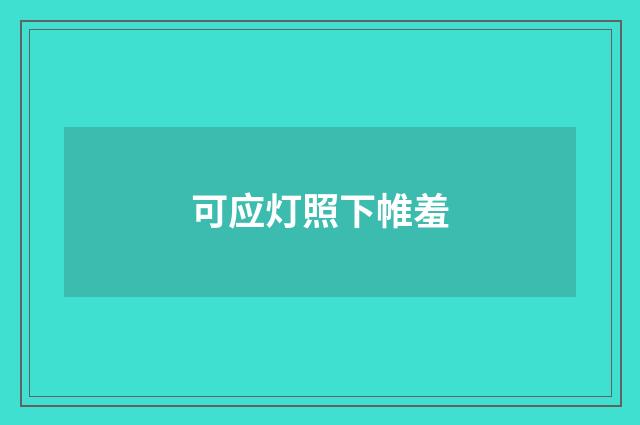 可应灯照下帷羞