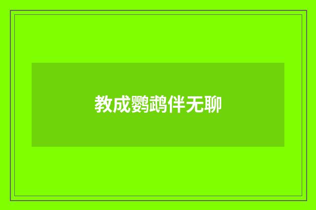 教成鹦鹉伴无聊