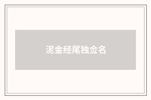 泥金经尾独佥名