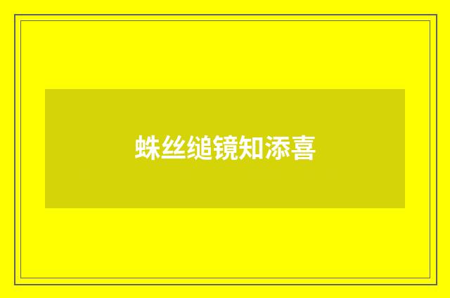 蛛丝缒镜知添喜