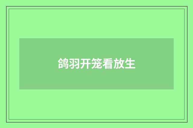 鸽羽开笼看放生