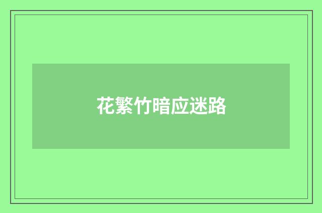 花繁竹暗应迷路