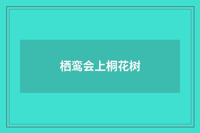 栖鸾会上桐花树
