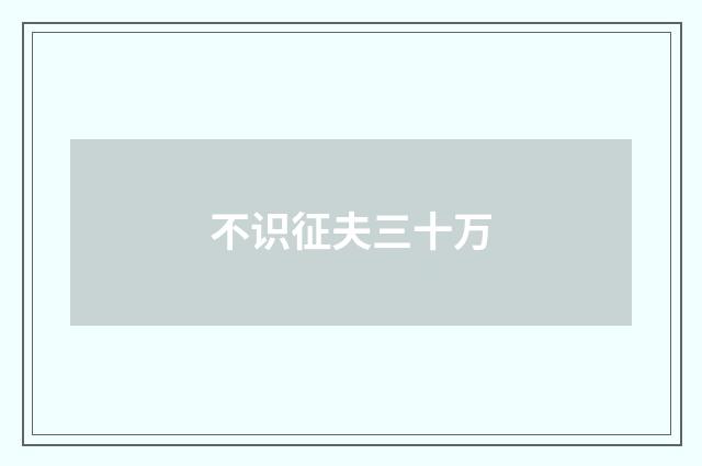 不识征夫三十万