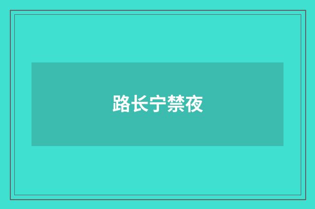路长宁禁夜
