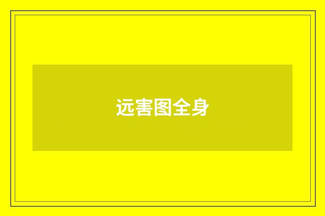 远害图全身