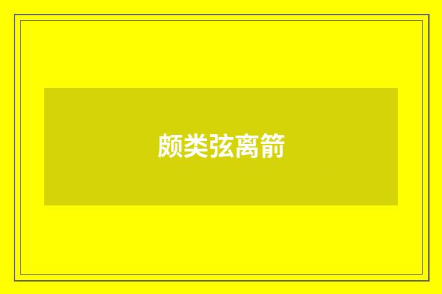 颇类弦离箭
