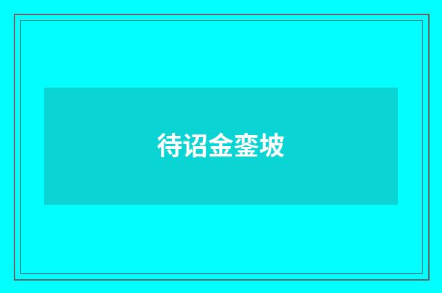 待诏金銮坡