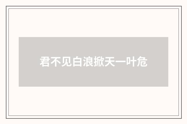 君不见白浪掀天一叶危