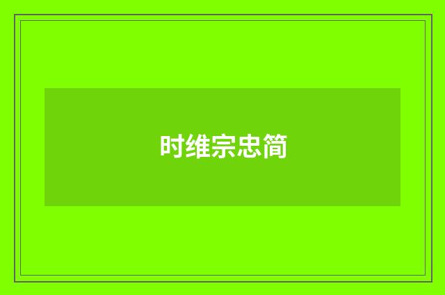 时维宗忠简