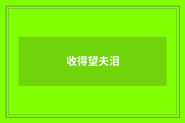 收得望夫泪