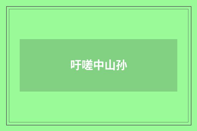 吁嗟中山孙