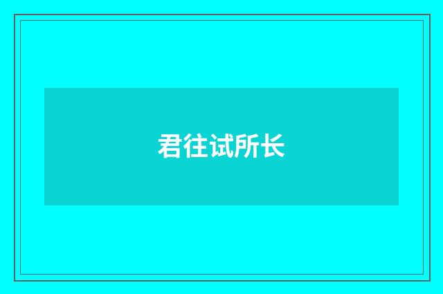 君往试所长