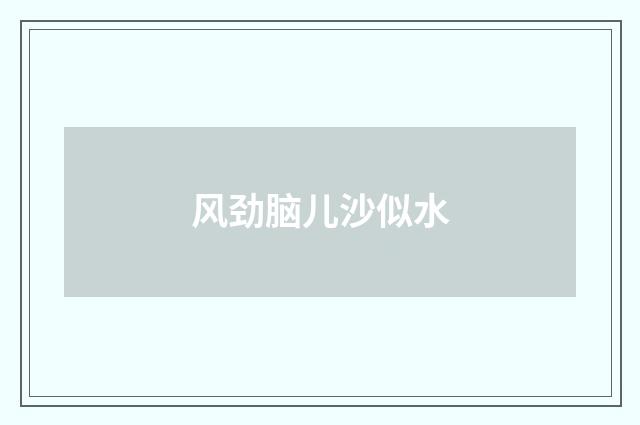 风劲脑儿沙似水