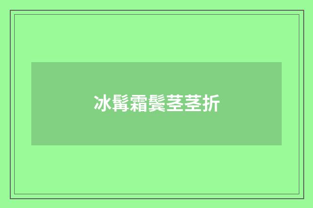 冰髯霜鬓茎茎折