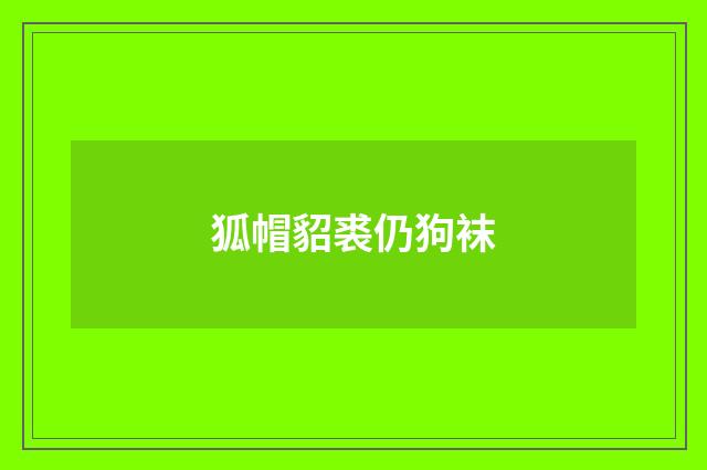 狐帽貂裘仍狗袜