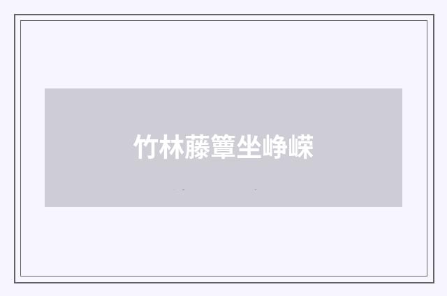 竹林藤簟坐峥嵘