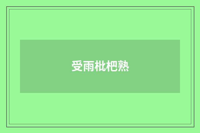 受雨枇杷熟