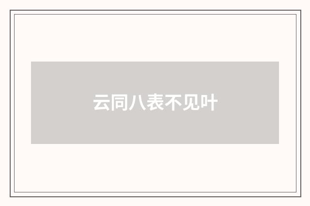 云同八表不见叶