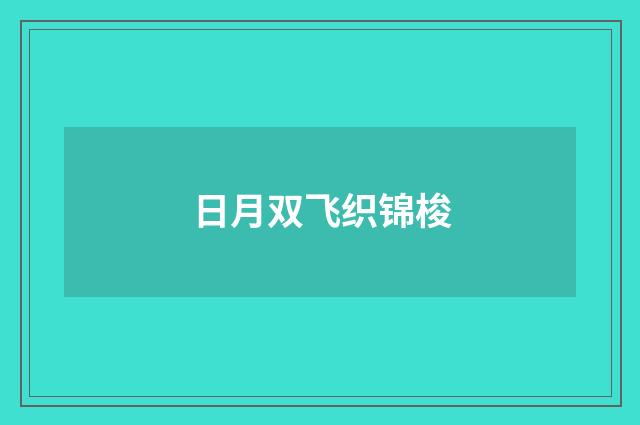 日月双飞织锦梭