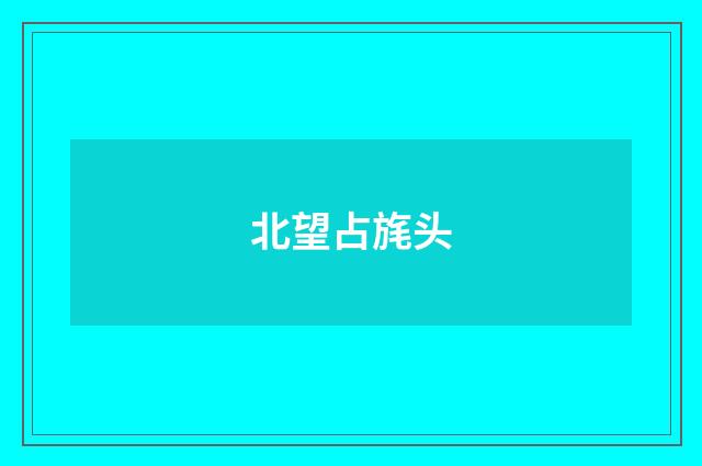 北望占旄头