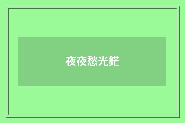 夜夜愁光鋩