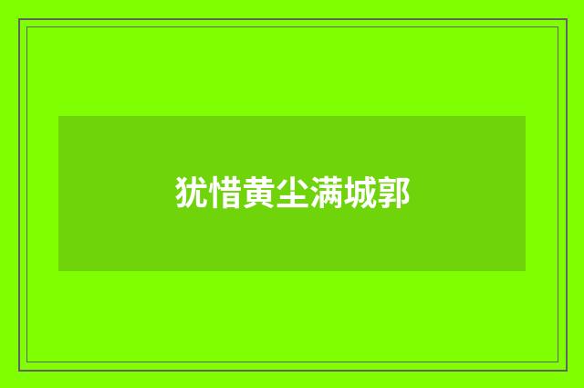 犹惜黄尘满城郭