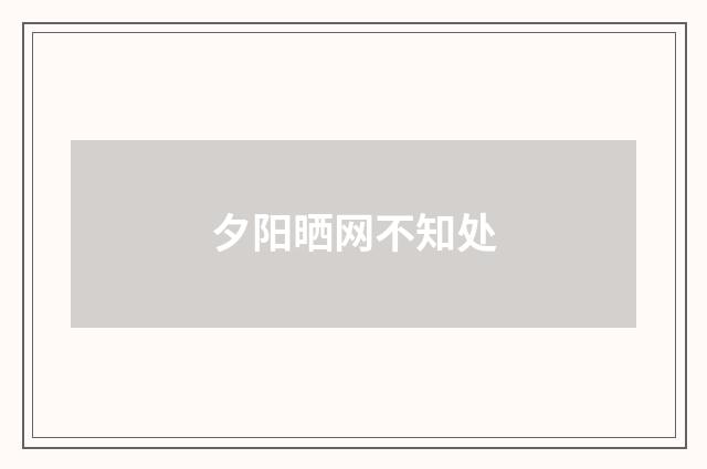 夕阳晒网不知处