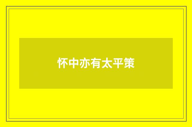 怀中亦有太平策