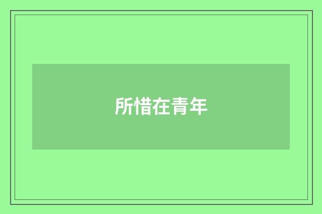 所惜在青年