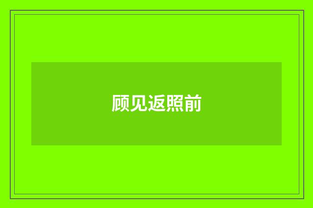 顾见返照前