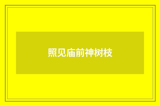照见庙前神树枝