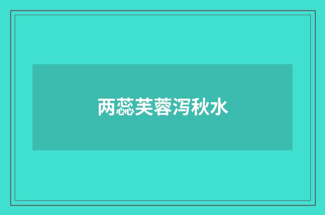 两蕊芙蓉泻秋水