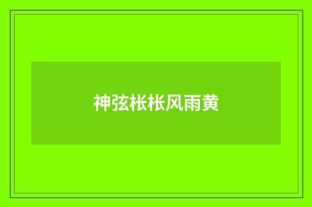 神弦枨枨风雨黄