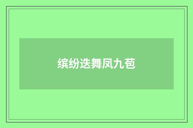 缤纷迭舞凤九苞