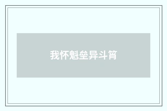 我怀魁垒异斗筲