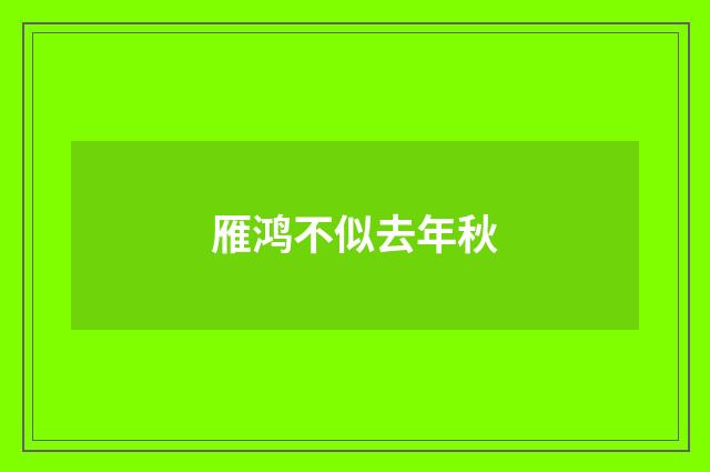 雁鸿不似去年秋