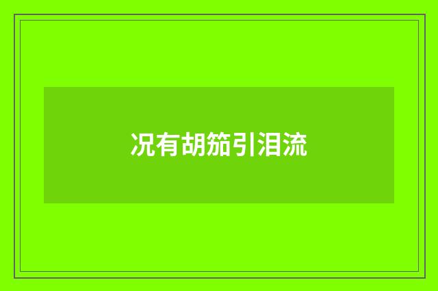 况有胡笳引泪流