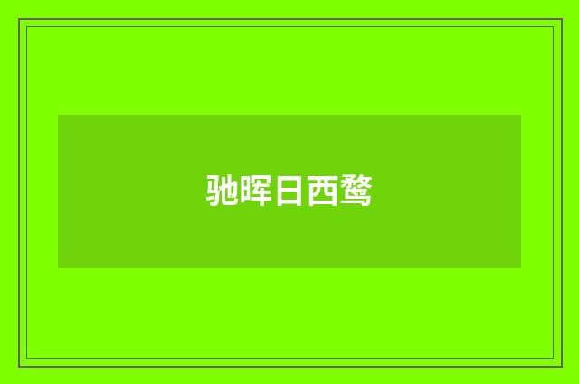 驰晖日西鹜