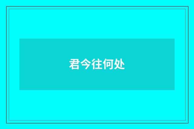 君今往何处